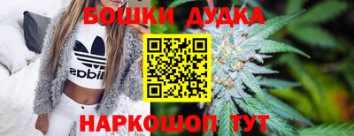 индика Аргун