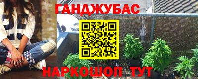 индика Аргун