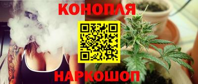индика Аргун